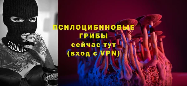 винт Лагань