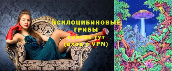 винт Лагань