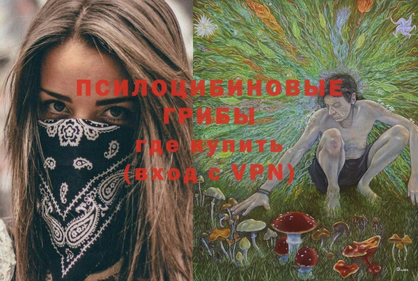 винт Лагань