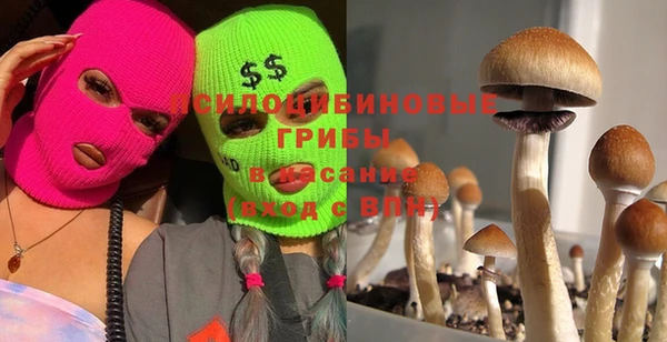 бутират Лабытнанги