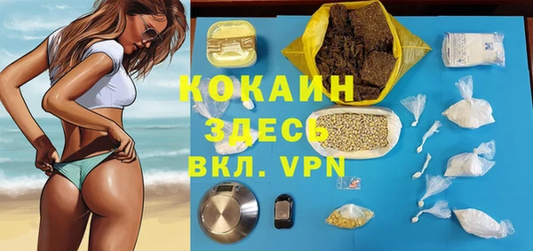 винт Лагань