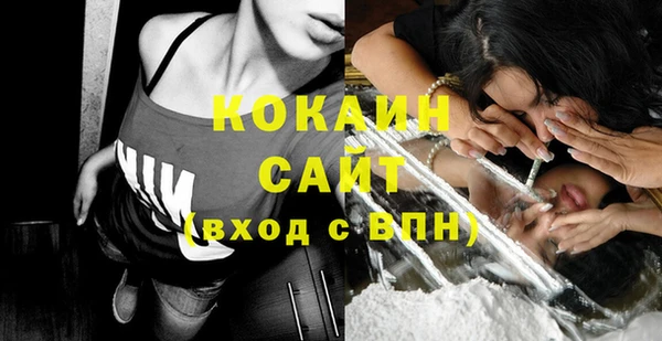винт Лагань