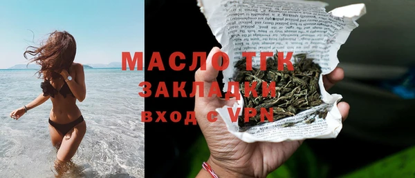 винт Лагань