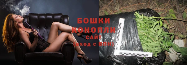 винт Лагань