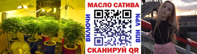 OMG онион  Магас  ТГК концентрат  где найти  
