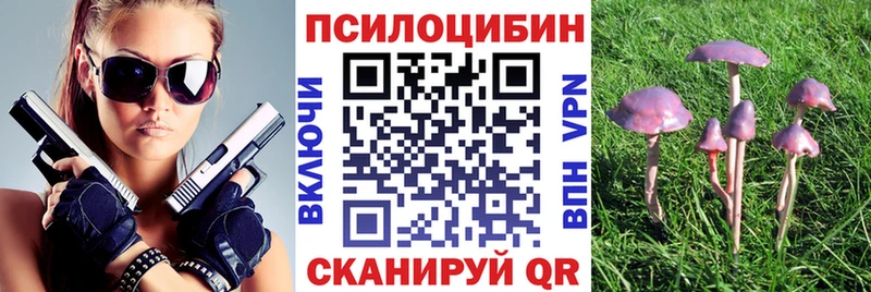 Псилоцибиновые грибы прущие грибы  kraken маркетплейс  Магас  купить наркоту 